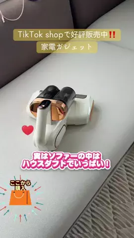 野獣のおっちゃんのTikTok投稿