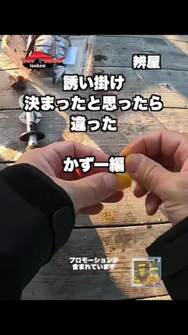 伊勢志摩つりとも研究所のTikTok投稿