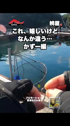 伊勢志摩つりとも研究所のTikTok投稿
