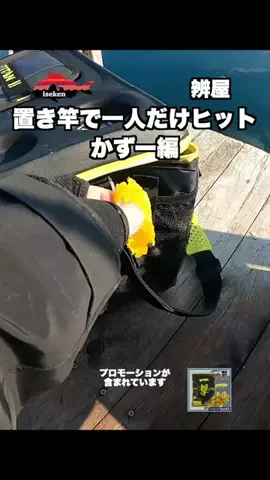 伊勢志摩つりとも研究所のTikTok投稿