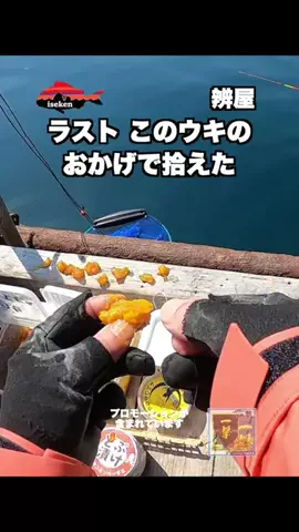 伊勢志摩つりとも研究所のTikTok投稿