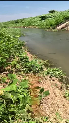 fishing.nAo.chのTikTok投稿