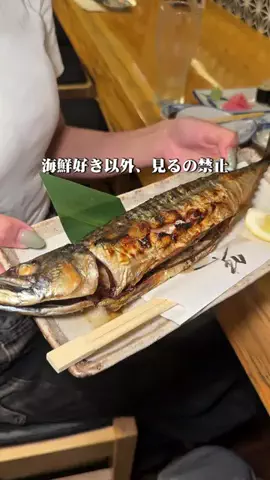 さかなび ｜東京おさかなグルメナビのTikTok投稿