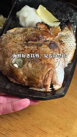 さかなび ｜東京おさかなグルメナビのTikTok投稿