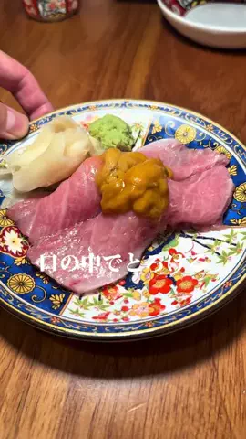 さかなび ｜東京おさかなグルメナビのTikTok投稿