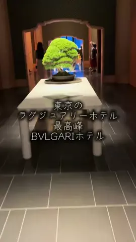 ここ知ってる？のTikTok投稿