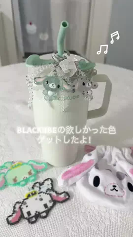 am  7畳のTikTok投稿