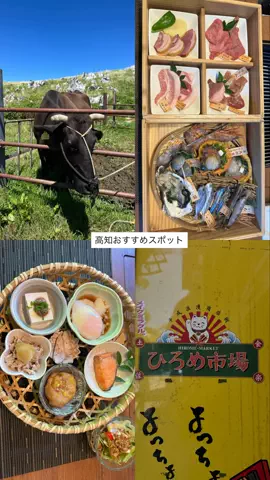 なみちゃん旅のTikTok投稿