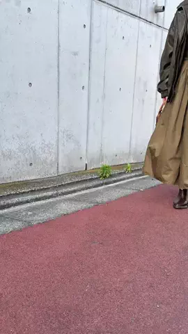 小清水めいろのTikTok投稿
