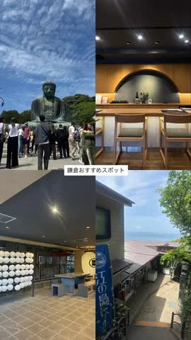 なみちゃん旅のTikTok投稿