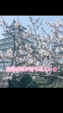 しー。のTikTok投稿
