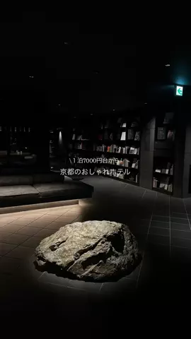 なみちゃん旅のTikTok投稿