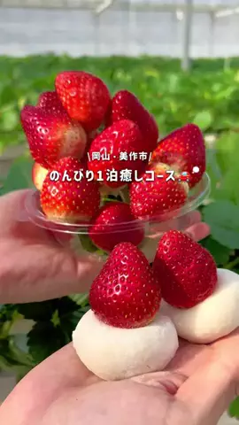chinami_岡山グルメ観光のTikTok投稿