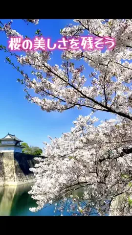 ぺたぺた手工屋のTikTok投稿