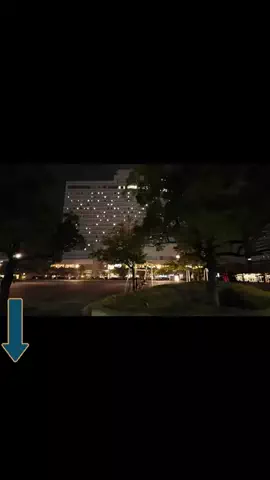小鳥　ミリムのTikTok投稿