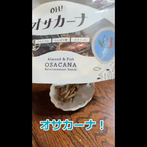 こはだ百貨店🛍️のTikTok投稿