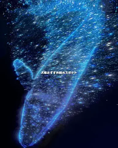 キンベル|格安旅行案内人のTikTok投稿