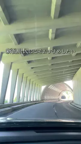 新潟グルメ/NIIGTA SELECTのTikTok投稿