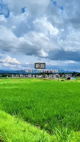 新潟グルメ/NIIGTA SELECTのTikTok投稿