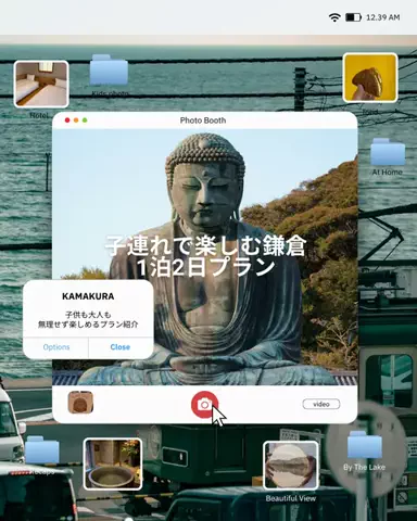 Ohana🌸のTikTok投稿
