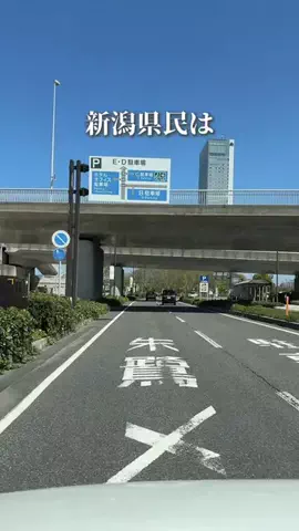 新潟グルメ/NIIGTA SELECTのTikTok投稿
