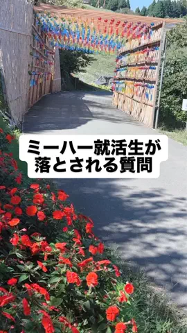 マーケOL浜辺のTikTok投稿