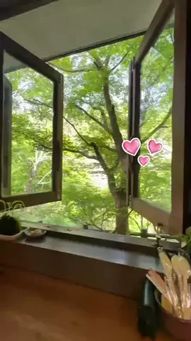 マーケOL浜辺のTikTok投稿