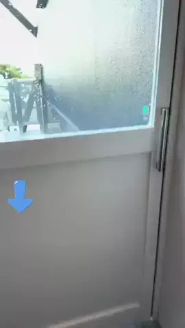 エコ🍓のTikTok投稿