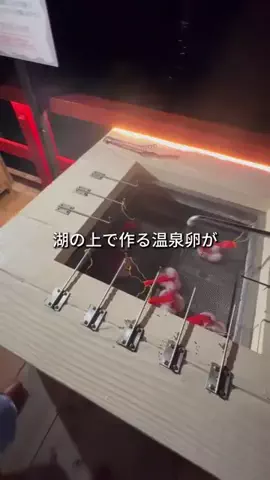 キンベル|格安旅行案内人のTikTok投稿