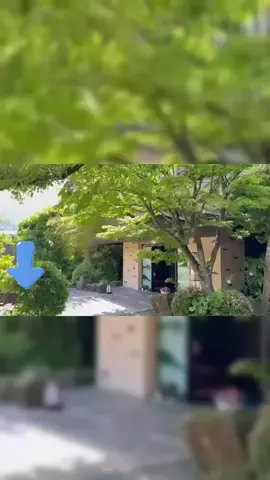 エコ🍓のTikTok投稿