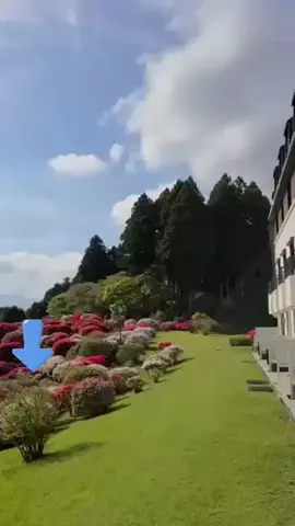 エコ🍓のTikTok投稿