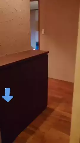 エコ🍓のTikTok投稿