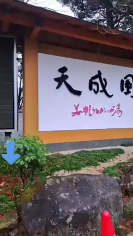 エコ🍓のTikTok投稿