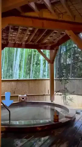 エコ🍓のTikTok投稿