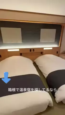 エコ🍓のTikTok投稿