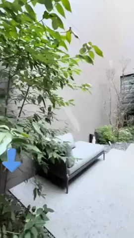 エコ🍓のTikTok投稿