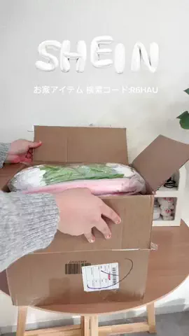 こまちのTikTok投稿