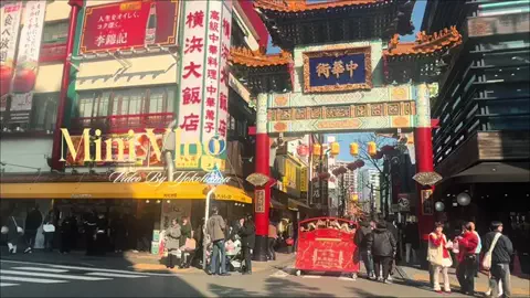 oshigeのTikTok投稿