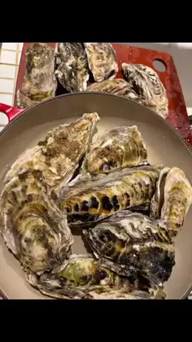 🥂みきてぃー🍷のTikTok投稿