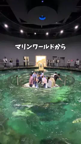 ちゃんみな｜大阪からのおでかけ情報🐙のTikTok投稿