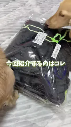 989🐶🐶のTikTok投稿