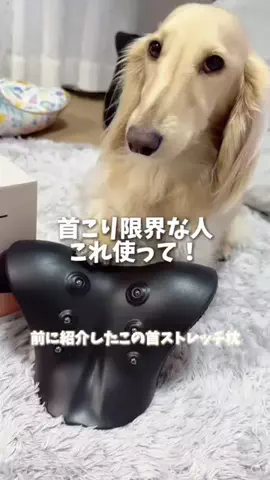 989🐶🐶のTikTok投稿