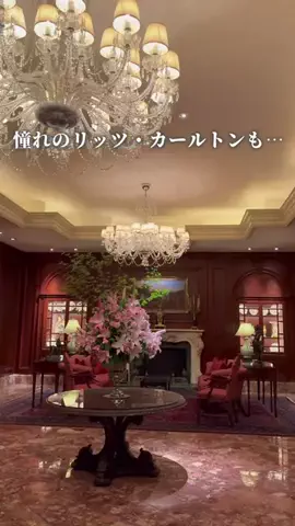旅好きOLのTikTok投稿