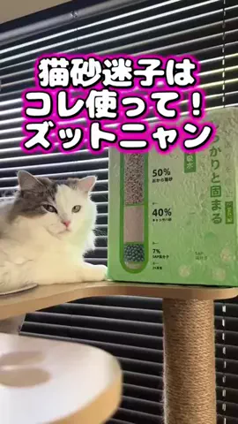 soni🧚‍♂️🛍のTikTok投稿