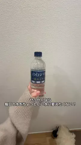 山田🕷️🐼のTikTok投稿
