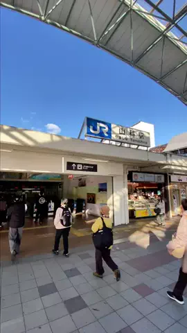 京都グルメ／KYOTO SELECTのTikTok投稿