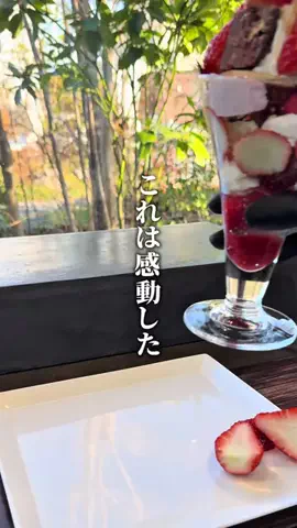 山梨グルメゆうやのTikTok投稿