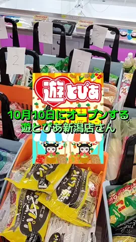 アレクサ🦐のTikTok投稿