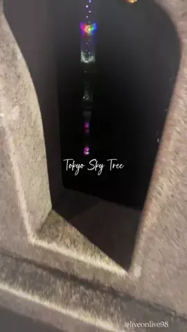 ＊hitohira＊のTikTok投稿