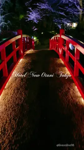 ＊hitohira＊のTikTok投稿